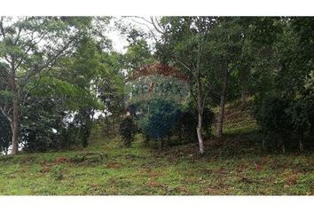 Lote de Terreno en  Sasaima, Cundinamarca