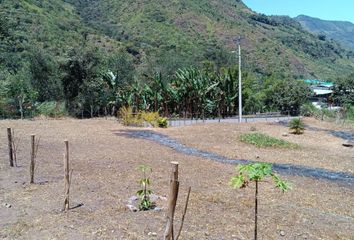 Terreno Comercial en  Intag, Ecuador