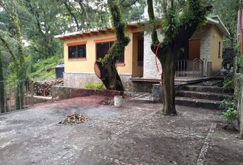 Casa en  Pueblo Santo Domingo Ocotitlán, Tepoztlán