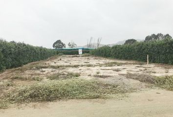 Terreno en  Asia, Cañete, Lima, Per