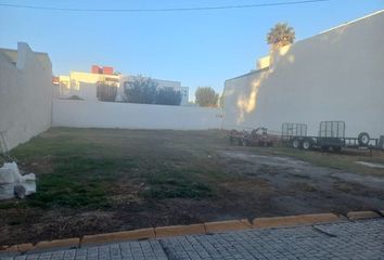 Lote de Terreno en  Árbol Las Palmitas, Arboledas De Santa Elena, Pachuca De Soto, Estado De Hidalgo, México