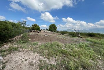 Lote de Terreno en  Camino Ál Verde, Localidad San Cayetano, Xalisco, Nayarit, 63511, Mex