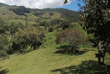 Lote de Terreno en  Jericó, Antioquia, Colombia