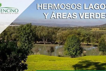 Lote de Terreno en  Fraccionamiento El Encino, Querétaro, México