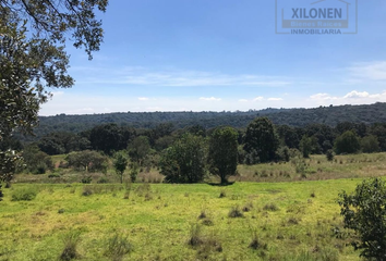 Rancho en  Villa Del Carbón, Estado De México, México