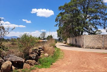 Lote de Terreno en  Palos Altos, Estado De México, México