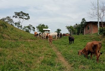 Villa-Quinta en  San Francisco, Antioquia, Colombia