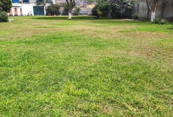 Terreno en  Pro, Los Olivos, Perú