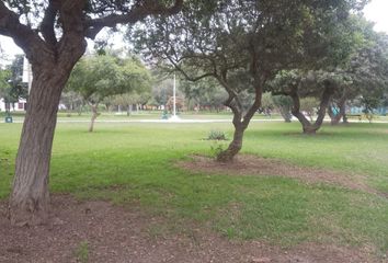 Terreno en  Plaza Norte, Avenida Alfredo Mendiola, Los Olivos, Perú