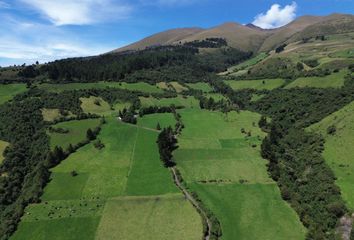 Hacienda-Quinta en  Aloag, Quito, Ecuador