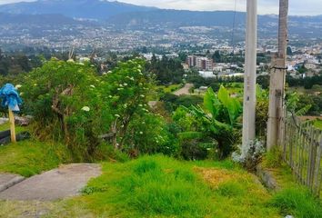 Terreno Comercial en  Tumbaco, Quito