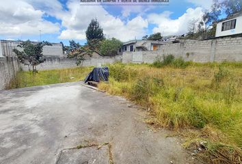 Terreno Comercial en  Abdón Calderón G. 303, Quito, Ecuador