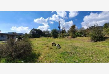 Lote de Terreno en  La Estanzuela, Estado De Hidalgo, México