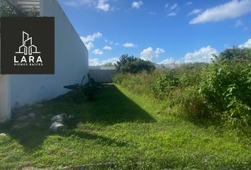 Lote de Terreno en  Pueblo Dzitya, Mérida, Yucatán