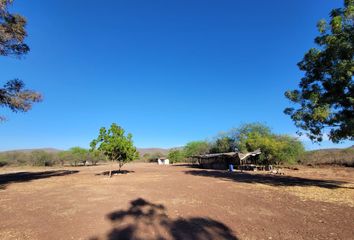 Lote de Terreno en  Pjvm+r63 Culiacán Rosales, Sinaloa, México