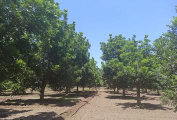 Lote de Terreno en  San Ignacio Río Muerto, Sonora, México