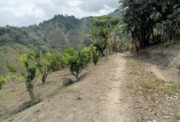 Hacienda-Quinta en  Peñaherrera, Cotacachi