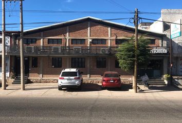 Edificio en  Avenida Fray Marcos De Niza, San Rafael, Culiacán, Sinaloa, México