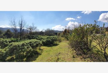 Lote de Terreno en  La Estanzuela, Estado De Hidalgo, México