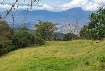 Lote de Terreno en  Arbeláez, Cundinamarca