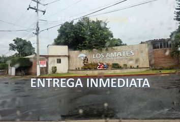 Lote de Terreno en  Los Laureles 13, Los Amates, Oaxtepec, Morelos, México