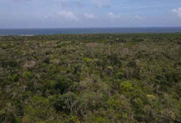 Lote de Terreno en  Jacinto Pat, Quintana Roo, México