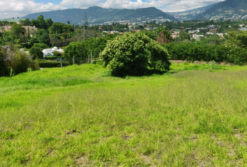 Terreno Comercial en  Cumbayá, Quito