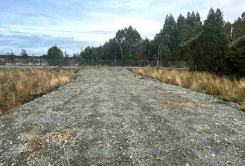 Parcela en  Puerto Montt, Llanquihue