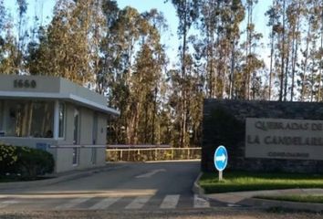 Departamento en  Algarrobo, San Antonio