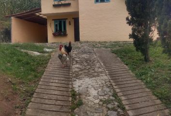 Villa-Quinta en  El Uvito, Medellín, Antioquia, Colombia