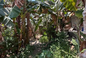 Terreno en  Plazuela Luriama, Restaurante 