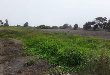 Terreno en  Aucallama, Huaral