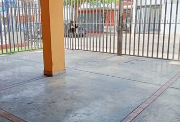 Otros en  Pedro Benvenutto Murrieta, San Miguel, Perú