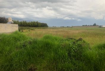 Lote de Terreno en  Calle Ignacio Allende, La Constitución Totoltepec, Toluca, México, 50236, Mex