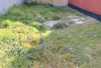 Lote de Terreno en  San Lorenzo Tetlixtac, San Francisco Coacalco, Estado De México, México