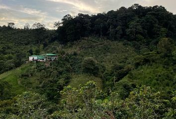 Villa-Quinta en  Salento, Quindío