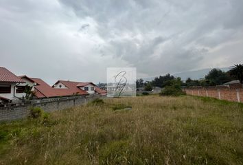 Terreno Residencial en  Pg9q+v5v, Charles Darwin, Quito 170801, Ecuador