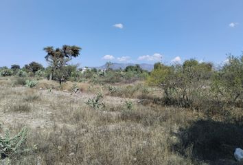 Lote de Terreno en  Los Olivos, Actopan, Estado De Hidalgo, México