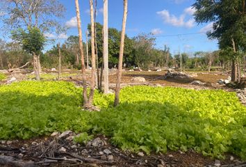 Lote de Terreno en  Komchén, Yucatán, México