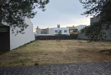 Lote de Terreno en  La Campiña, Leon, Guanajuato, México