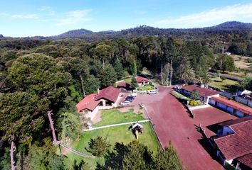 Rancho en  Centro, Zacatlán
