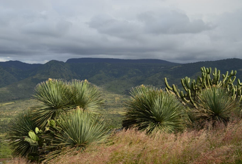 Lote de Terreno en  Escolásticas, Querétaro, México