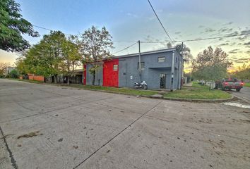 Galpónes/Bodegas en  Calle 46, Romang, San Javier, Santa Fe, Arg