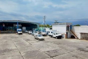 Nave en  Centro, Jiutepec, Jiutepec, Morelos