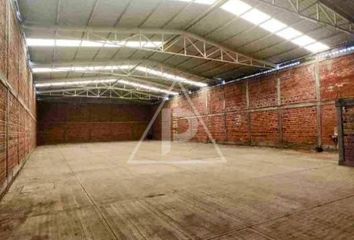 Nave en  San Gaspar, Jiutepec, Morelos