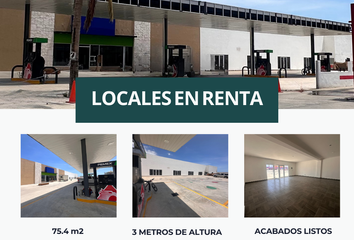 Local comercial en  El Tezal, Los Cabos