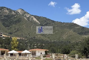 Lote de Terreno en  Arteaga, Coahuila De Zaragoza, México