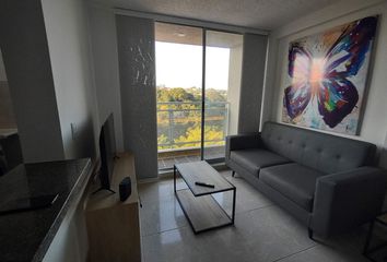 Apartment for rent in Centro, Pereira