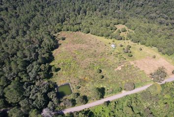 Lote de Terreno en  Carretera Zoyapilca - Rancho Nuevo - Límite Estados, Jalpan De Serra, Querétaro, 76354, Mex