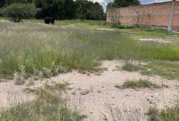 Lote de Terreno en  Carretera A Loreto, San Marcos, Loreto, Zacatecas, México